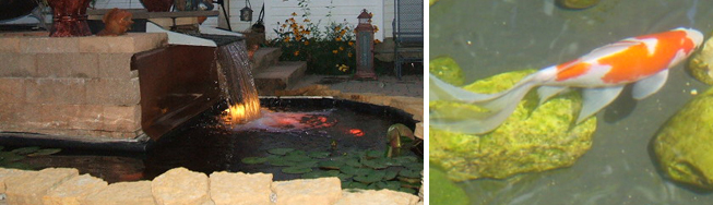 ponds, indoor and outdoor water gardens